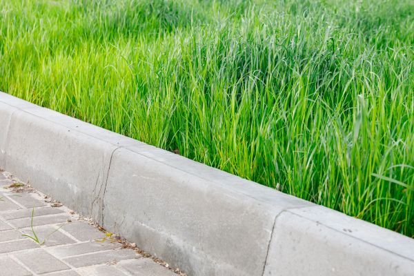 Concrete Curb Repair in Pasco