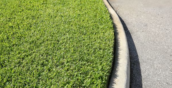 Driveway Curb Repair in Pasco